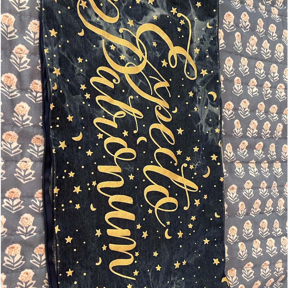 Pottery Barn Teen Harry Potter Pillow Cover. 12x24 cover.